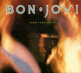 JAPAN 32 PAGE HARDCOVER BOOK